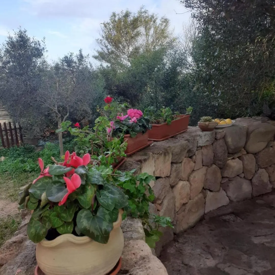 B&B Domus Oriens - Monolocale Indipendente In Villa - No Cucina Portoscuso Πανσιόν
